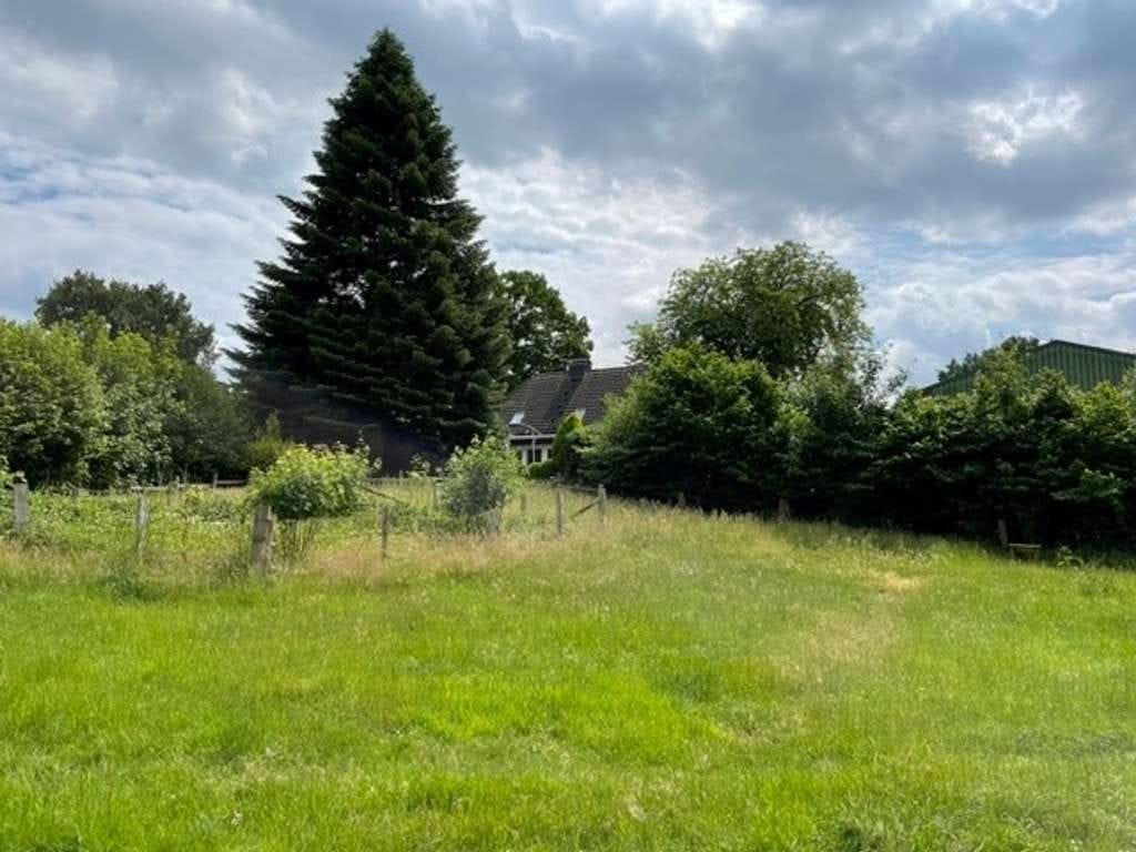 Immobilie in Nehms - Wohnen mit Weite: Resthof mit 4 ha Fläche und Nebengebäude - Bild 4