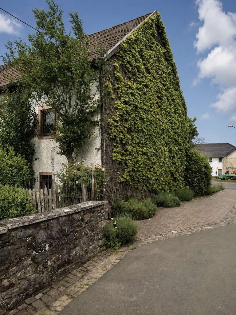 Immobilie in Dahlem - Ferienhaus, Wohnhaus oder Kapitalanlage – Eifelidylle nahe Kronenburg - Bild 3