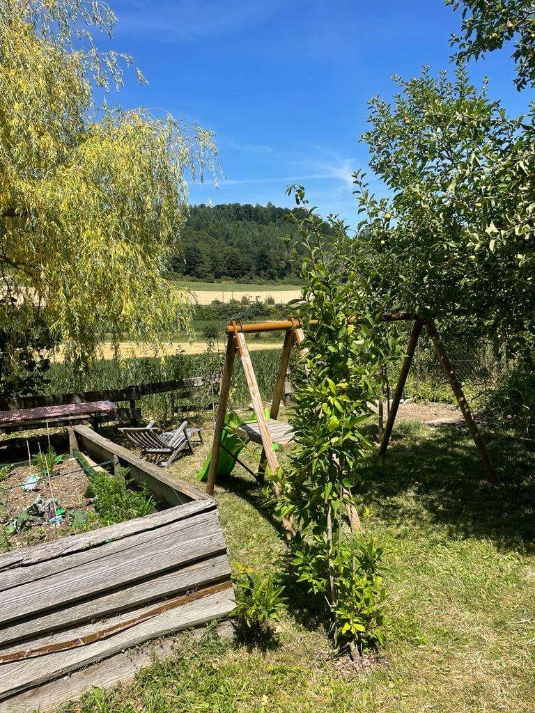 Immobilie in Lonsee - Einziehen und Wohlfühlen – Ansprechendes Einfamilienhaus mit Schrebergarten, Garage und Solaranlage - Bild 4