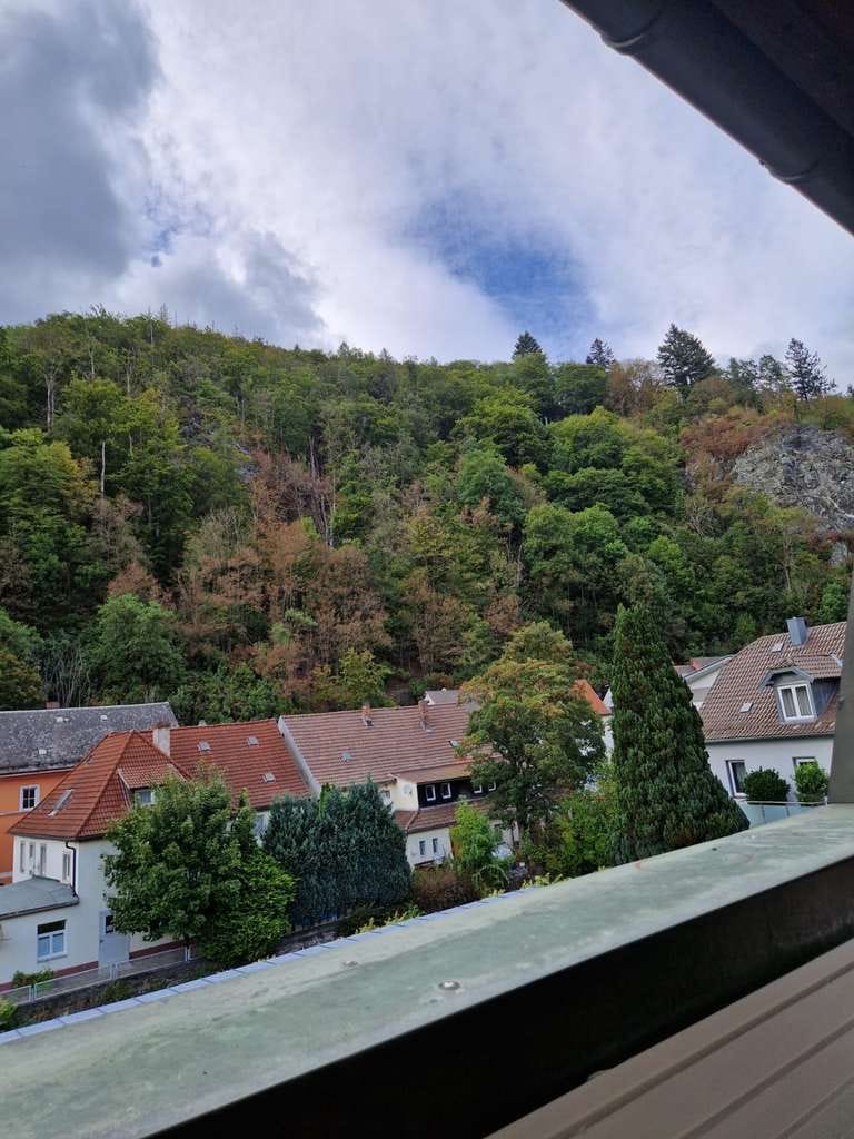 Immobilie in Bad Berneck im Fichtelgebirge - Wunderschönes Apartment mit Stil und vielen Extras sowie Aufzug und Garage - Bild 1