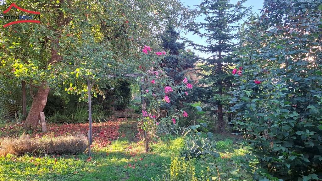 Immobilie in Martinsheim - Vielseitiges Einfamilienhaus mit großem Garten und Nebengebäude in 97340 Martinsheim - Bild 3