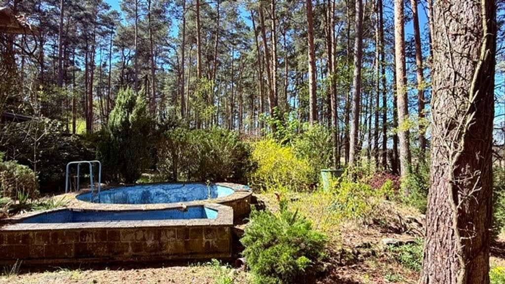 Immobilie in Rabenstein/Fläming - **Ruhe und Entspannung abseits des Großstadtlärms**Ferienhaus im Kiefernwald** - Bild 3