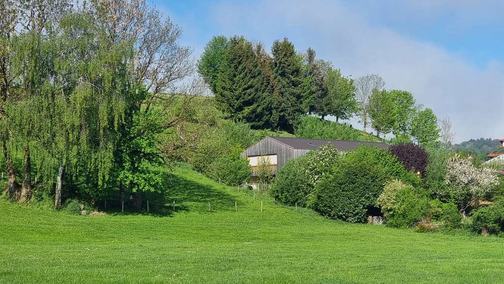 Immobilie in Wiggensbach - Wohn- und Gewerbebau in Randlage - Bild 1