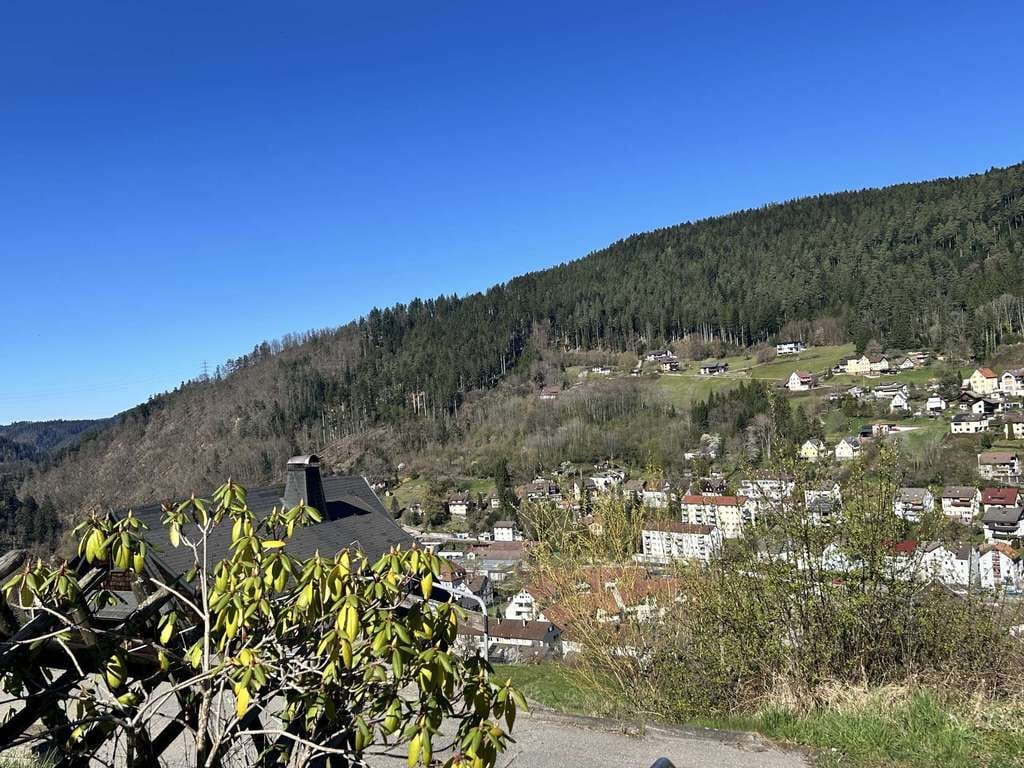 Immobilie in Schramberg - Preiswert wohnen mit großem Grundstück und herrlicher Aussicht! - Bild 3