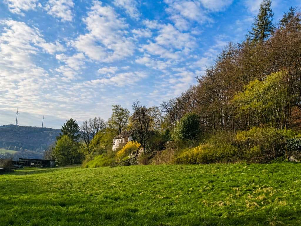 Immobilie in Biedenkopf - Seltene Alleinlage am Waldrand – ein Haus, das nicht nur Raum bietet,sondern ein neues Leben beginnt - Bild 0