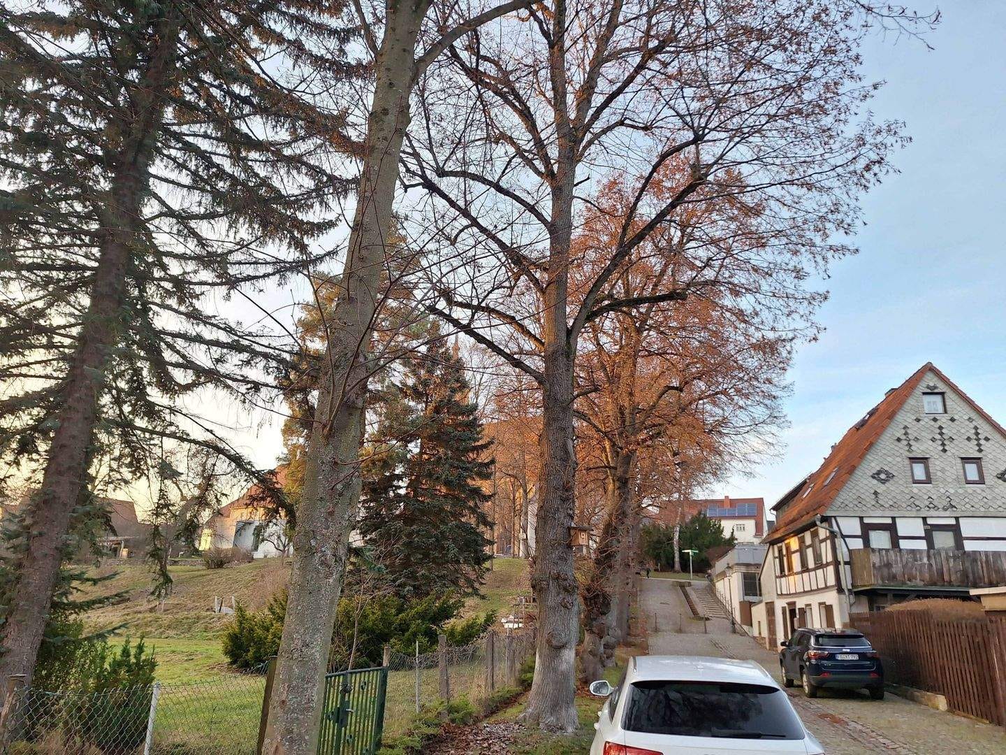 Immobilie in Oederan - Einfamilienhaus - Bild 4