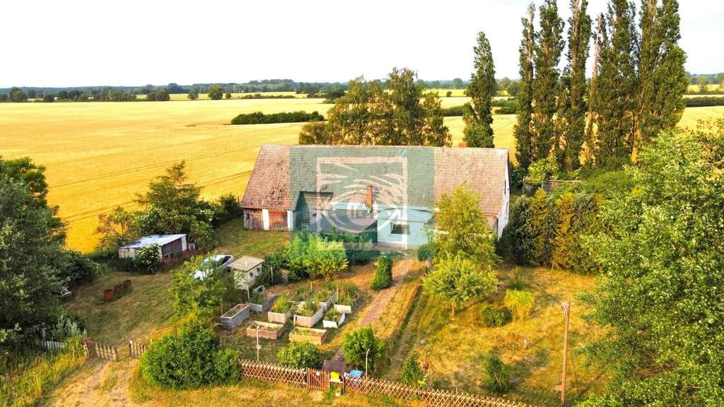 Immobilie in Groß Kordshagen - Alleinlage garantiert! Traumhaftes Wohnen auf dem Land und den Barther Bodden in der Nachbarschaft! - Bild 0