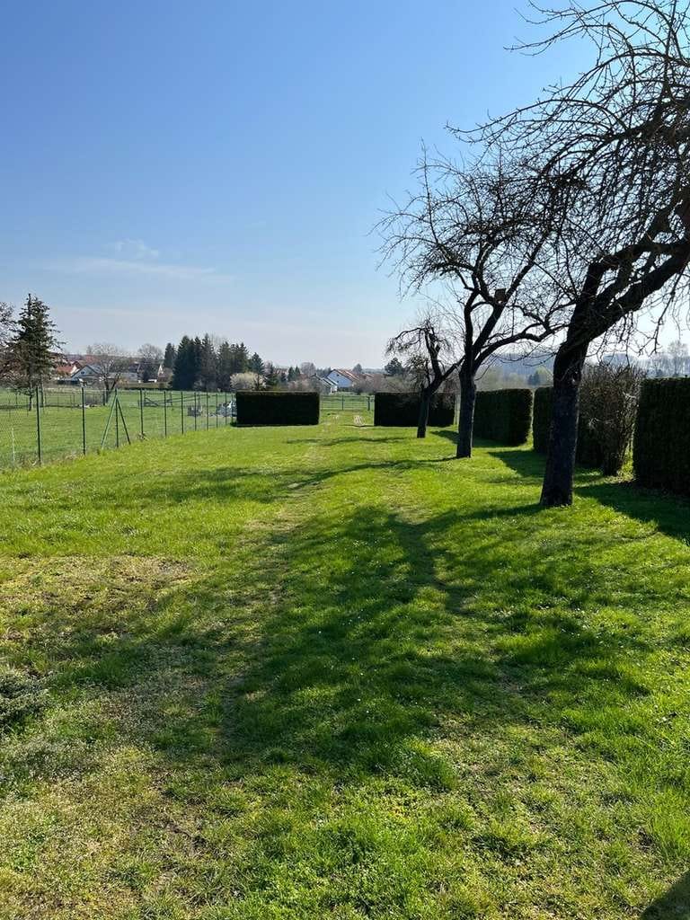 Immobilie in Vogtei - Ein- bis Zweifamilienhaus mit großem Garten, Gewerbeflächen, Doppelzufahrt & Garagen - Bild 2
