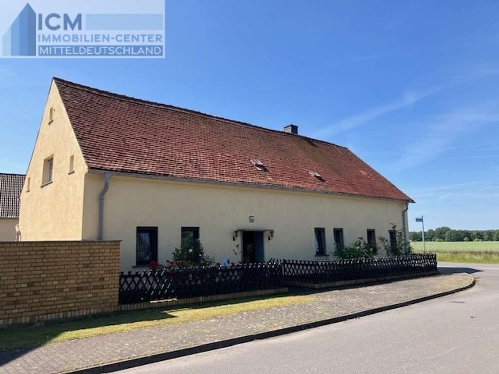 Immobilie in Zschepplin - Charmantes Bauernhaus vor den Toren Bad Dübens  - Bild 0