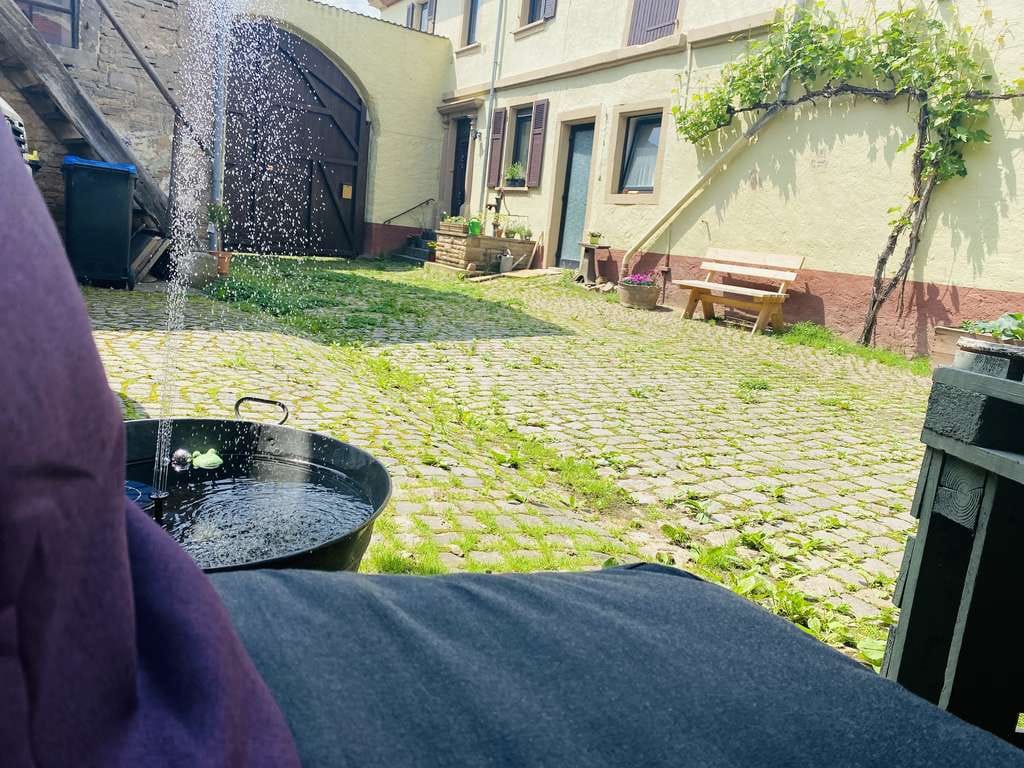 Immobilie in Rehborn - Charmantes kernsaniertes Bauernhaus mit Scheunen und Garten - Bild 4