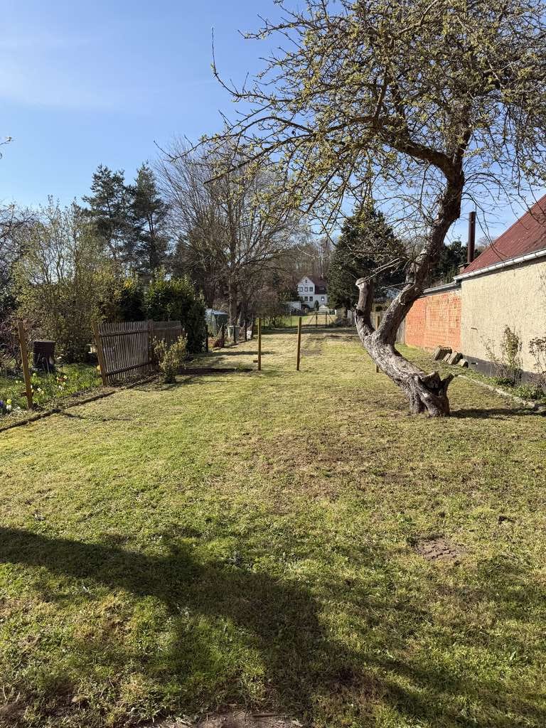 Immobilie in Leinefelde-Worbis - DHH mit großem Garten und Garage ohne Provision - Bild 1
