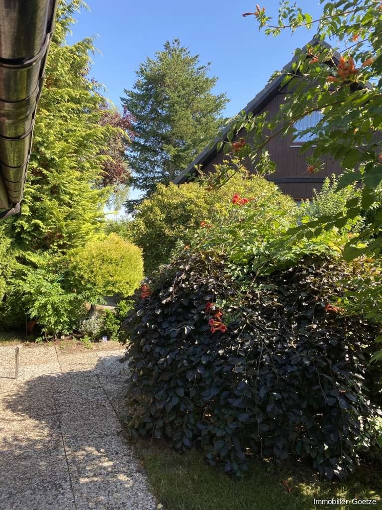 Immobilie in Sprakensehl - Frei ab September 2025! Schönes Einfamilienhaus mit großem Grundstück und Garage! - Bild 3