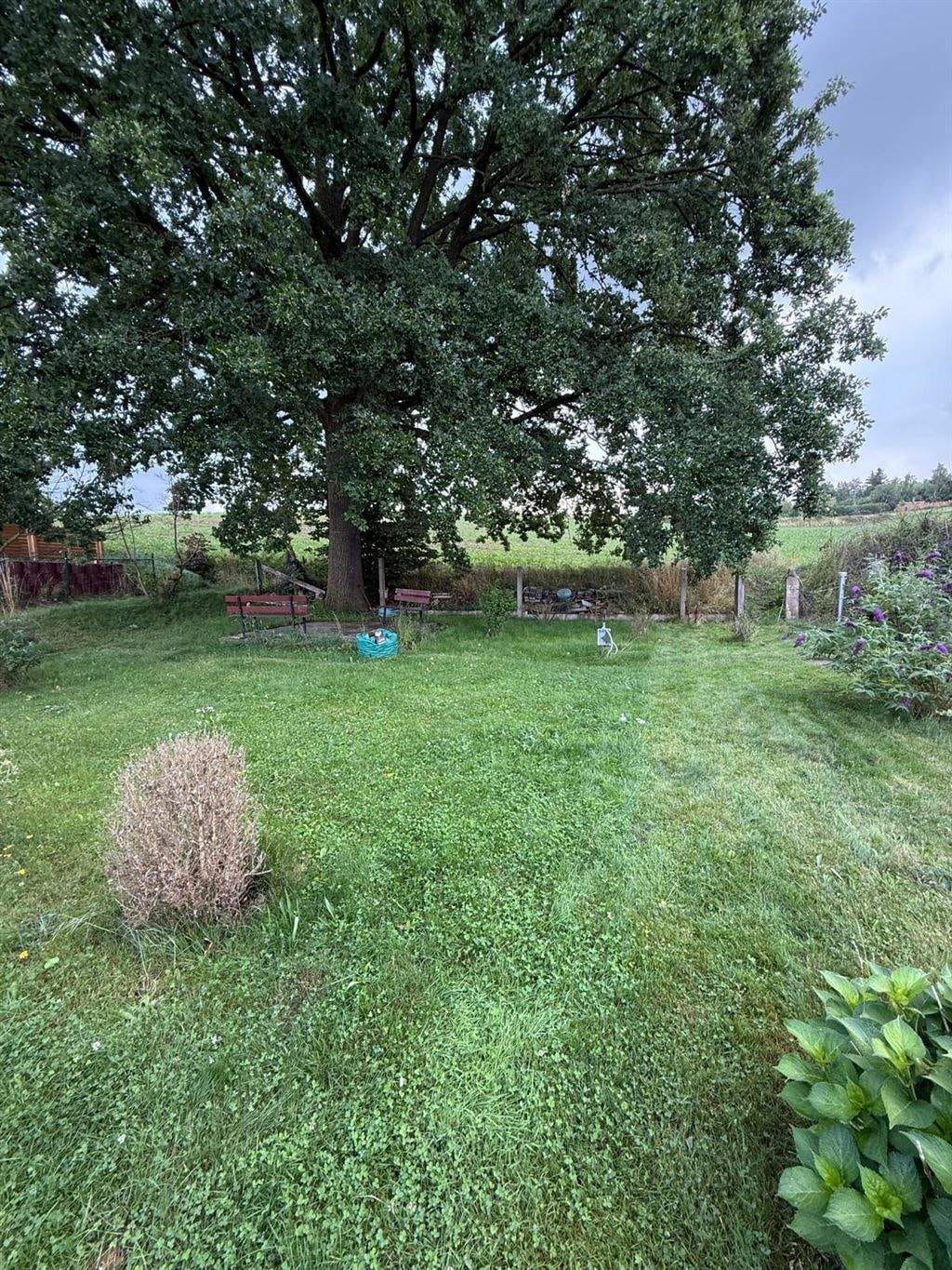Immobilie in Lugau - Günstiges EFH mit Terrasse, Garage, Dusche und sonnigem Grundstück am grünen Ortsrand - Bild 3