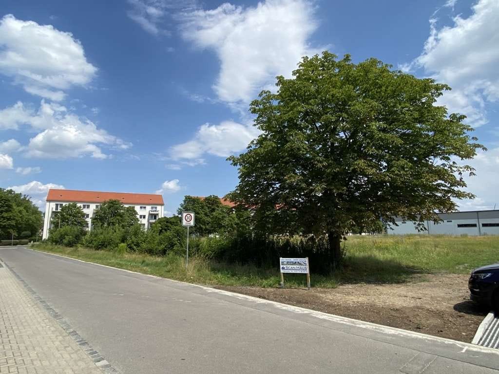 Immobilie in Lucka - Ihr Wohntraum in Lucka – sorgenfrei realisiert mit ScanHaus! - Bild 4
