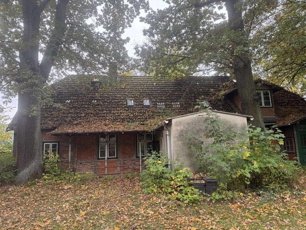 Immobilie in Lübtheen - Charmantes Fachwerkhaus im Grünen - Bild 3