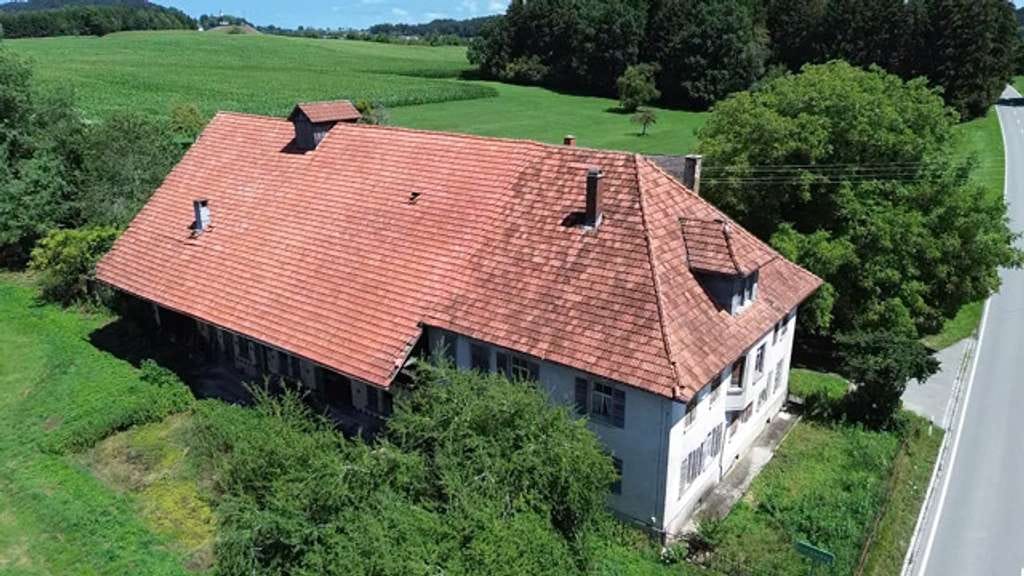 Immobilie in Bodnegg - Ehemaliges landwirtschaftliches Anwesen mit Nebengebäuden zwischen Wiesen/Hopfenfeldern bei Bodnegg! - Bild 2