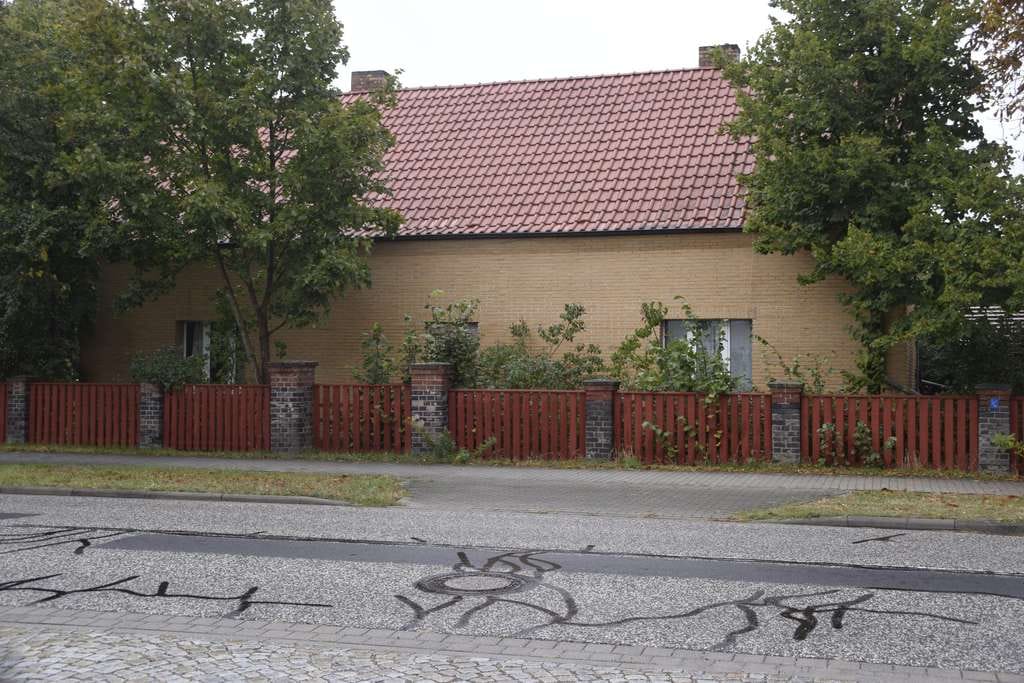Immobilie in Tauer - Wohnen mit Charakter: Bauernhaus in Tauer - Bild 0