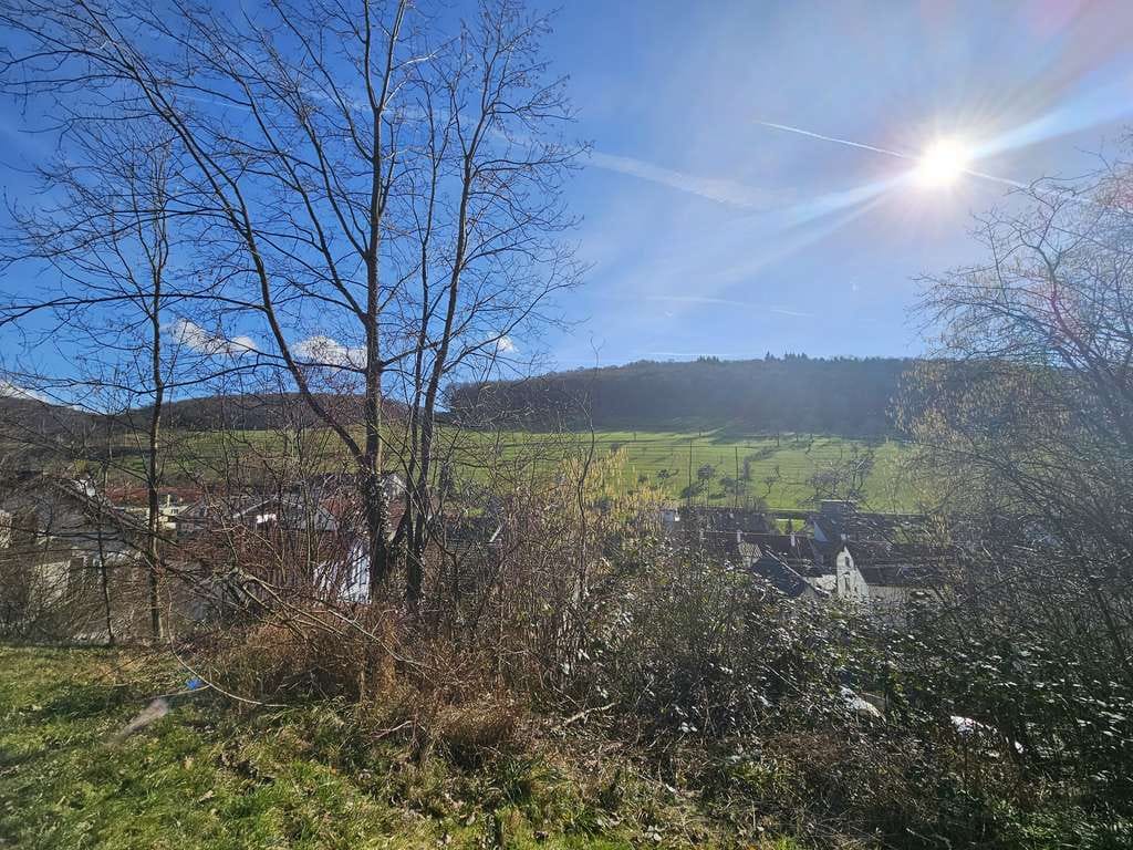 Immobilie in Inzlingen - Sanierungsbedürftiges, großzügiges 1-2-Fam.Haus mit wunderbarem Blick und viel Potenzial - Bild 3
