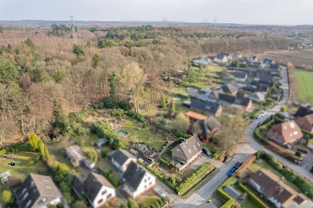 Immobilie in Börnsen - Neu-Börnsen - Idyllisches Einfamilienhaus auf parkähnlichem Grundstück und Waldrandlage - Bild 3