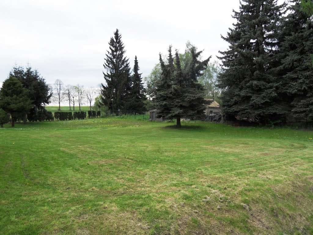Immobilie in Schneeberg - ENDLICH PLATZ FÜR IHREN EIGENEN HUND - IM NEUEN HAUS MIT GARTEN! TEL. 01714863595   - Bild 1