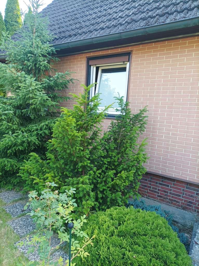 Immobilie in Asendorf - Ein Zuhause zum Ankommen - Zweifamilienhaus in idyllischer Umgebung nahe Jesteburg - Bild 2