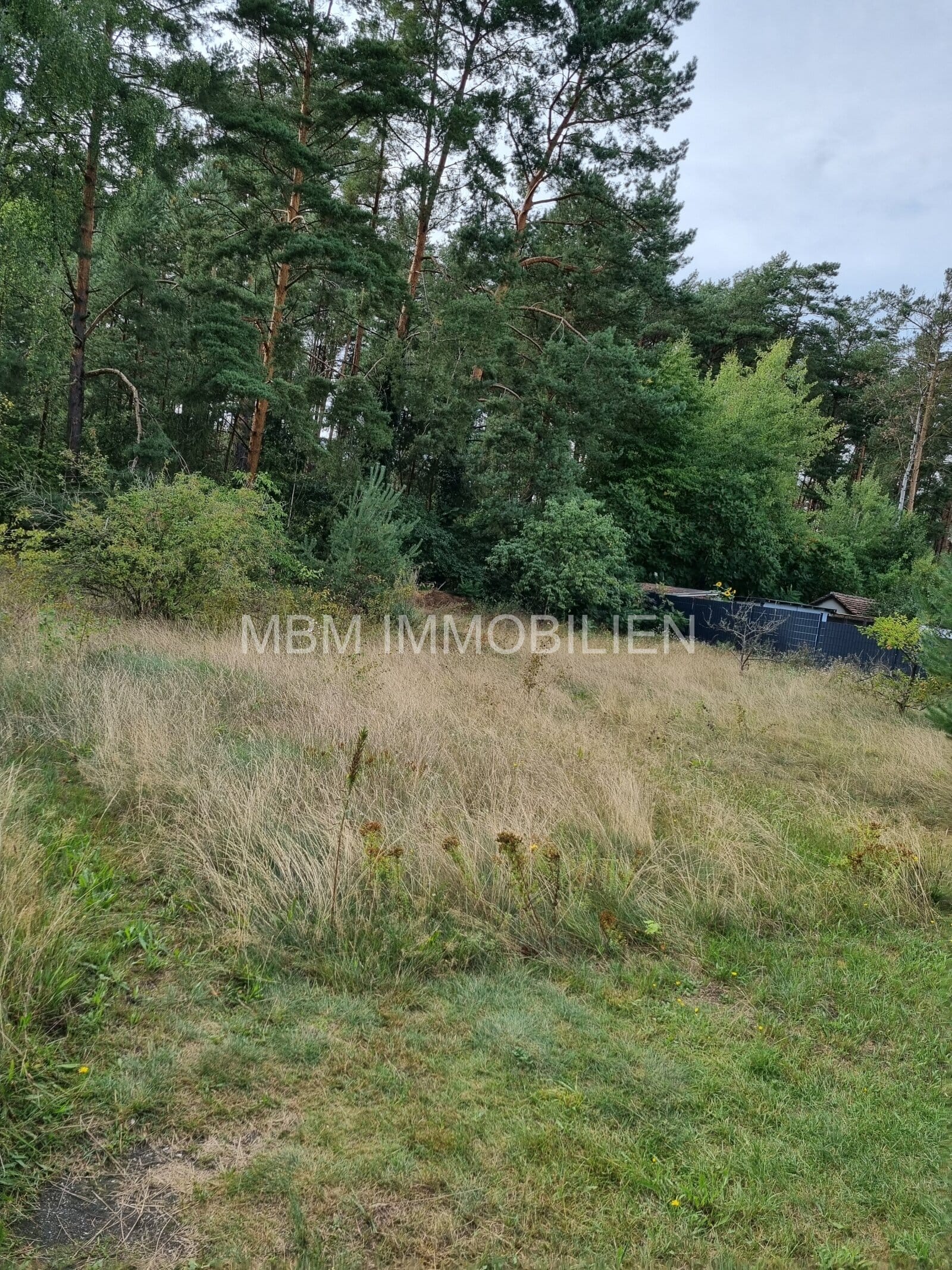 Immobilie in Lauta - Lauta - Ihr neues ZuHause - Bild 1