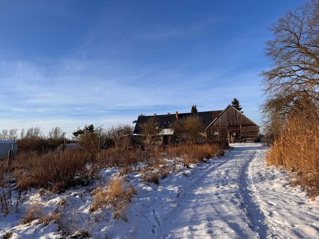 Immobilie in Hohenmocker - Landhaus in Dorfromantik in Hohenmocker - Bild 3