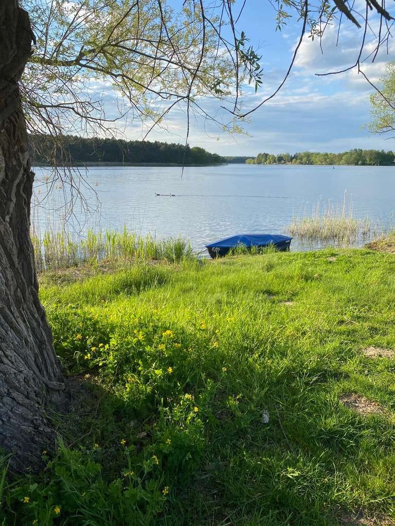 Immobilie in Havelsee - Sehnsuchtsort - Ihr Traum: Ein Haus am See - Bild 0