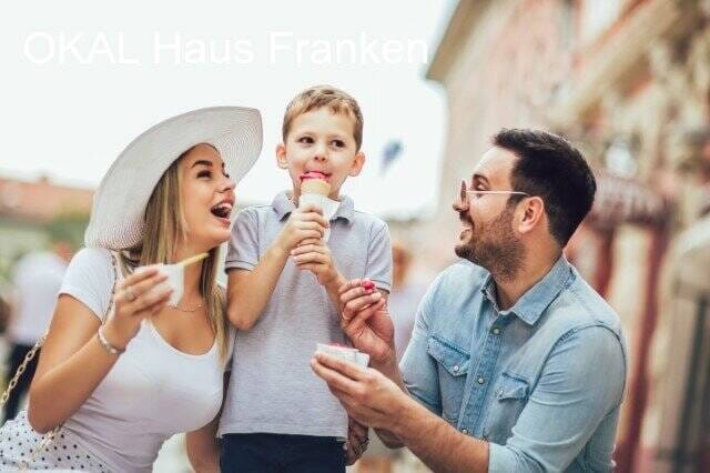 Immobilie in Tirschenreuth - Gut durchdachtes Designhaus - Erfüllen Sie sich Ihren Wohntraum mit OKAL - Bild 2