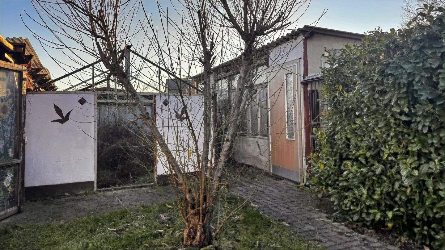 Immobilie in Hirschfeld - Ansehen - Kaufen - Einziehen - Bild 4