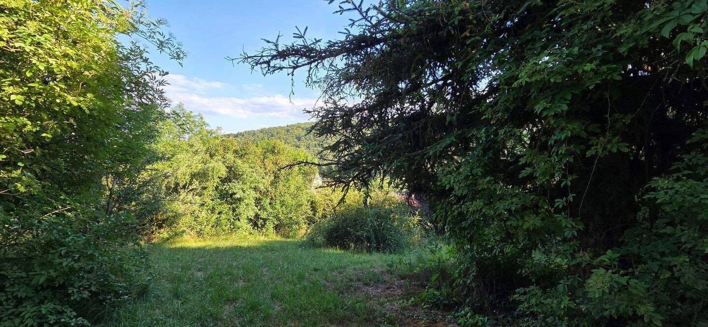 Immobilie in Solnhofen - Gepflegtes Mehrfamilienhaus in beliebter Lage im Altmühltal - Bild 2