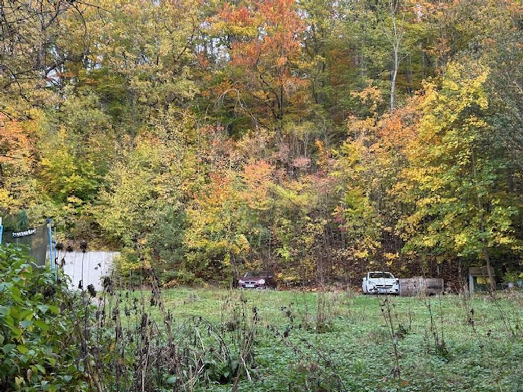 Immobilie in Bad Berka - GRUNDSTÜCK MIT EFH-PROJEKT AM STADTPARK - Bild 1