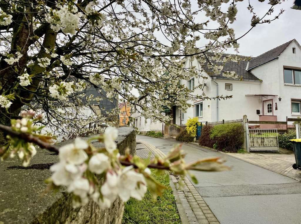 Immobilie in Kretzschau - Einfamilienhaus mit Charme - Bild 0