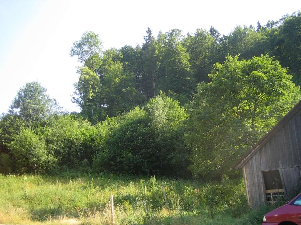 Immobilie in Stetten am kalten Markt - Für Hobby-Tierhaltung geeignet: Bauernhaus, Kauf, Stetten a. k. M. - Bild 4