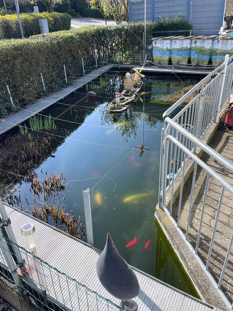 Immobilie in Eningen unter Achalm - Lust auf Fisch? - Bild 1