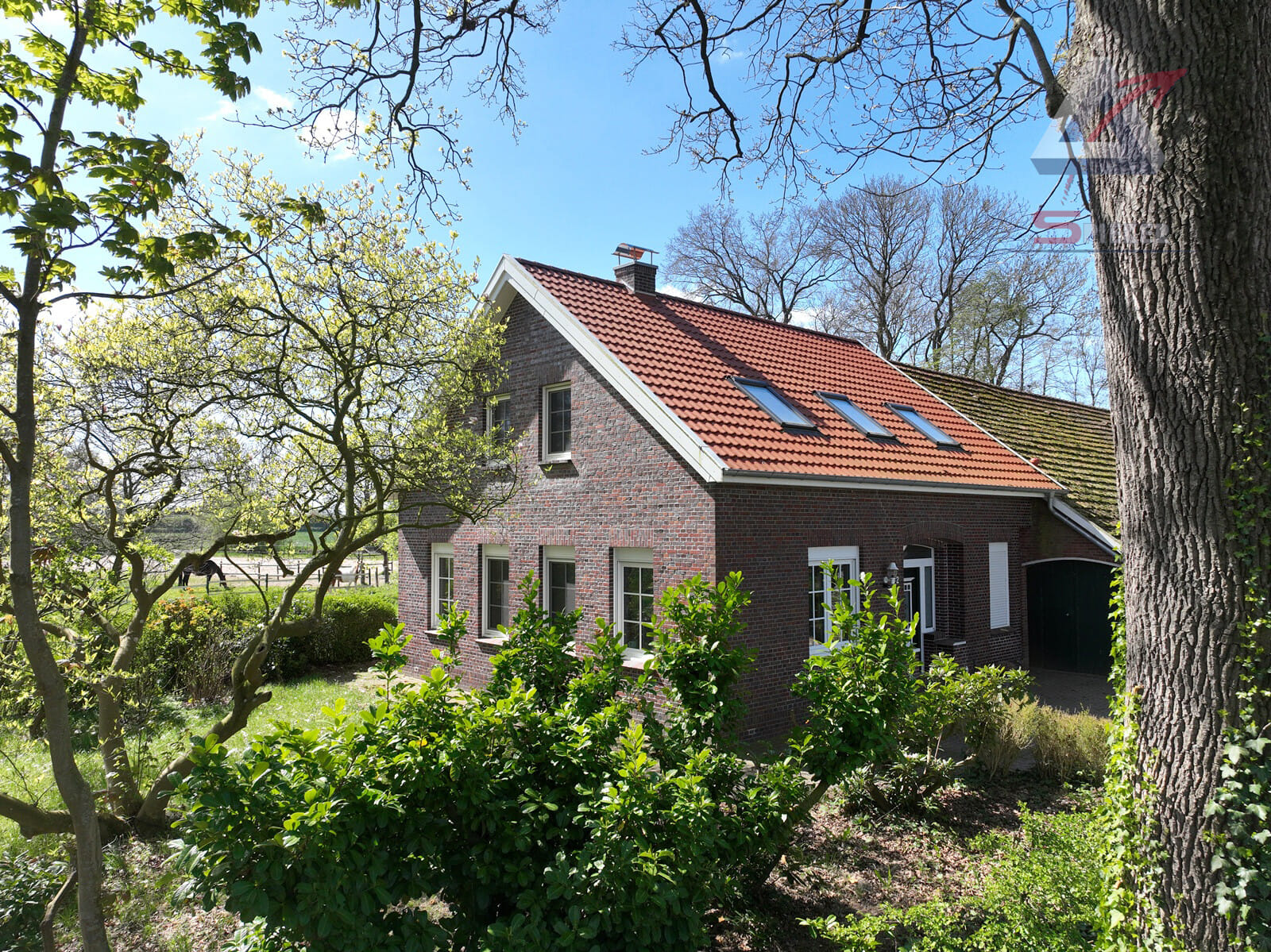 Immobilie in Filsum - Traumhaus - wunderschön sanierter Resthof - Bild 3