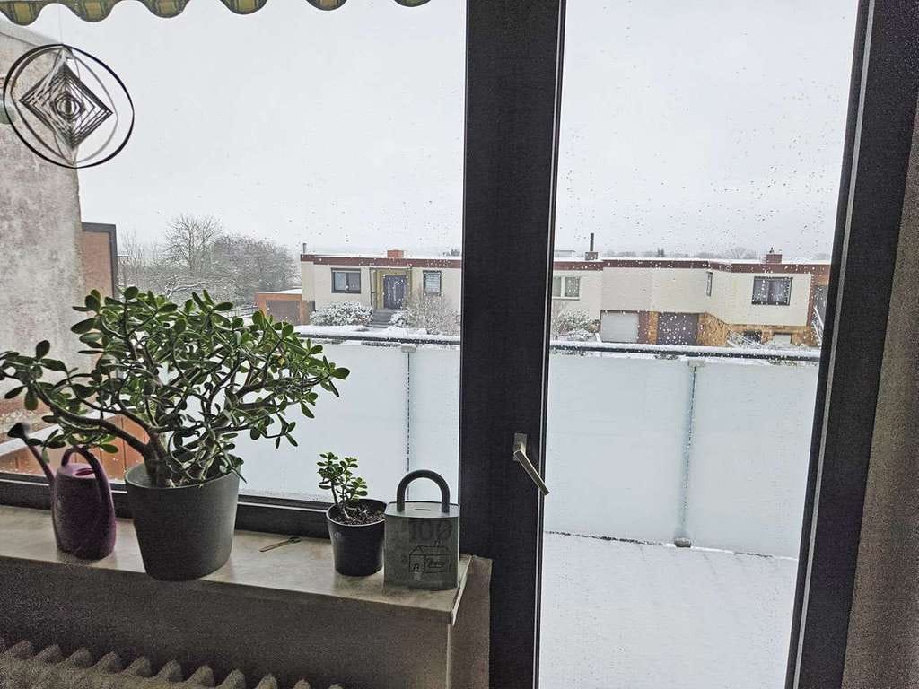 Immobilie in Bergen auf Rügen - Reihenmittelhaus in ruhiger Wohnlage und großem Garten - Bild 1