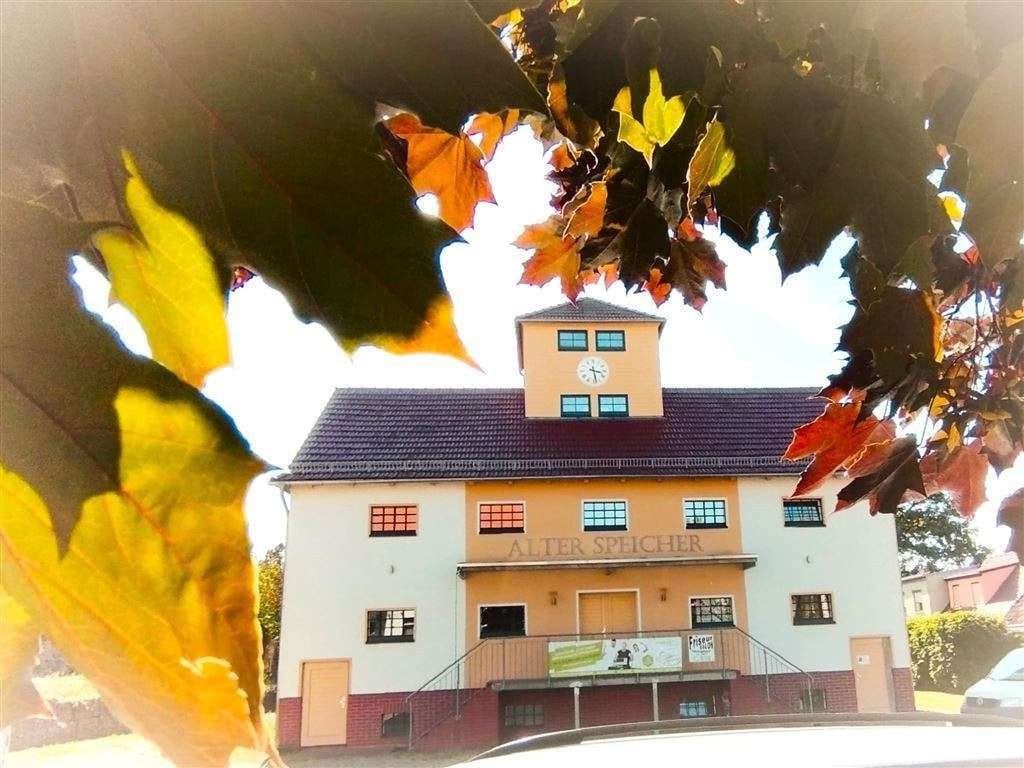 Immobilie in Gumtow - Einfamilienhaus mit Gewerbe + Baulandoption in Kyritz an der Knatter - Bild 1