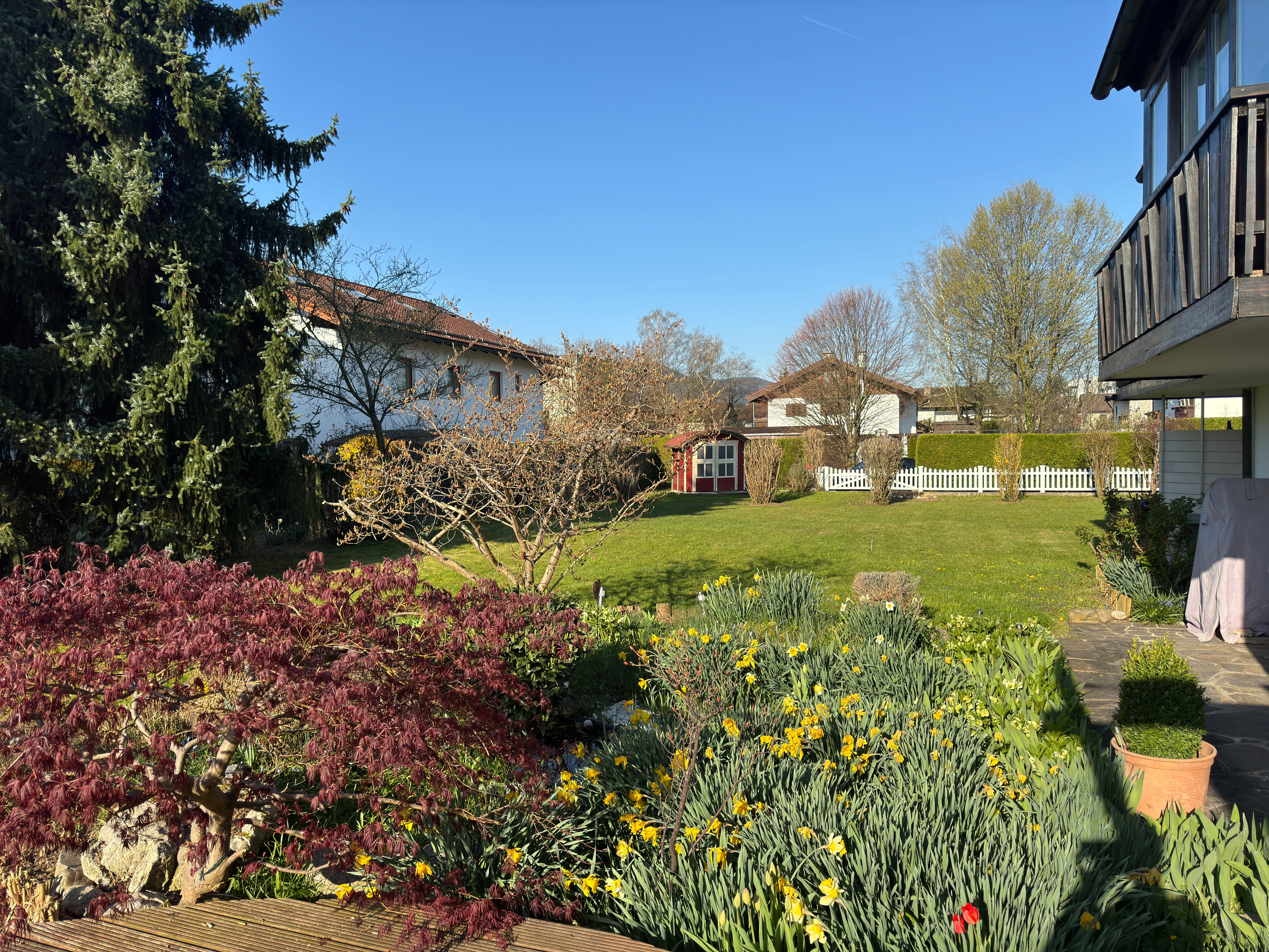Immobilie in Ainring - Ein Haus, drei Einheiten – wohnen, vermieten, entfalten - Bild 1