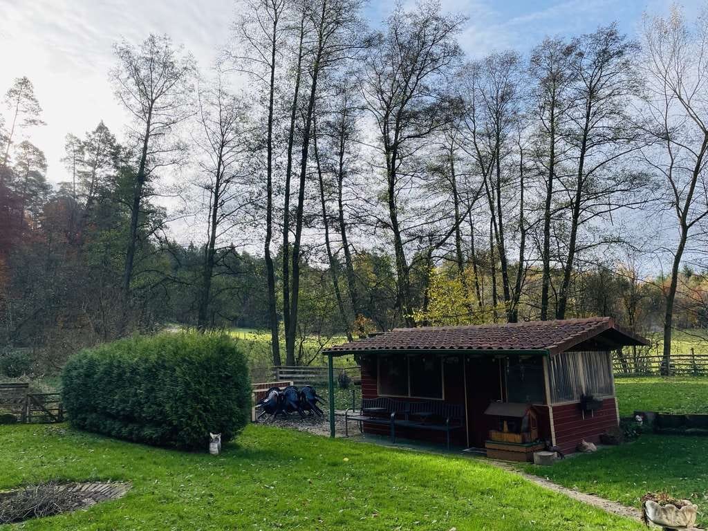 Immobilie in Wolfhagen - Umfangreich saniertes Ein- bis Zweifamilienhaus am Fuße der Weidelsburg in Wolfhagen-Ippinghausen  - Bild 4