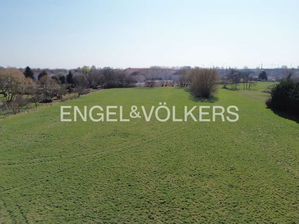Immobilie in Lübbenau/Spreewald - Attraktives Anwesen im Spreewald: Wohnhaus mit separater Ferienwohnung auf weitläufigem Grundstück - Bild 4