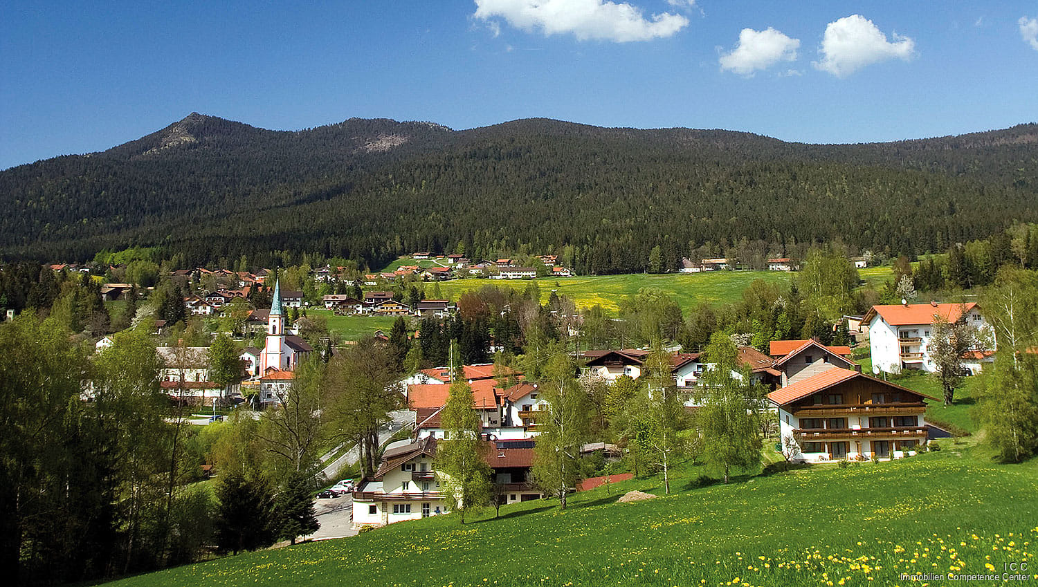 Immobilie in Lohberg - *** Vorankündigung ***
Gemütliches 1-Zimmer Apartment
im Herzen des Lamer Winkel - Arberland - Bild 0