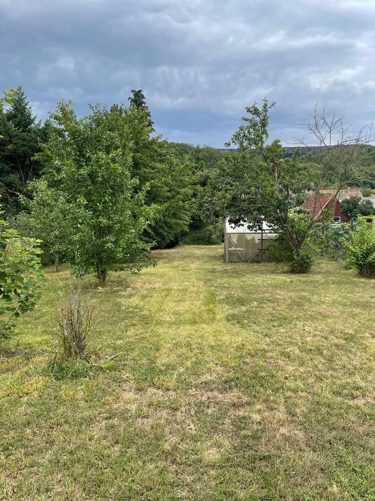 Immobilie in Hergisdorf - Einfamilienhaus mit großem Grundstück & Ausbaupotenzial in Hergisdorf! - Bild 1