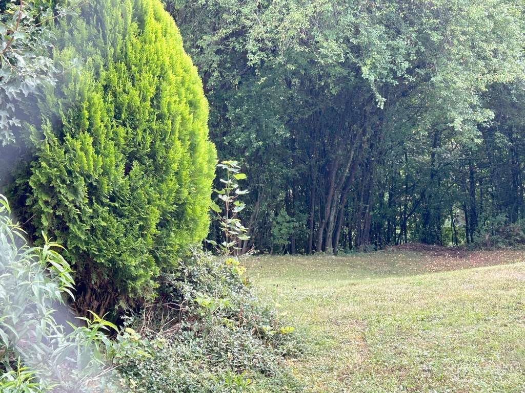 Immobilie in Wildberg - Erdgeschoss-Wohnung mit Blick ins Grüne! - Bild 1