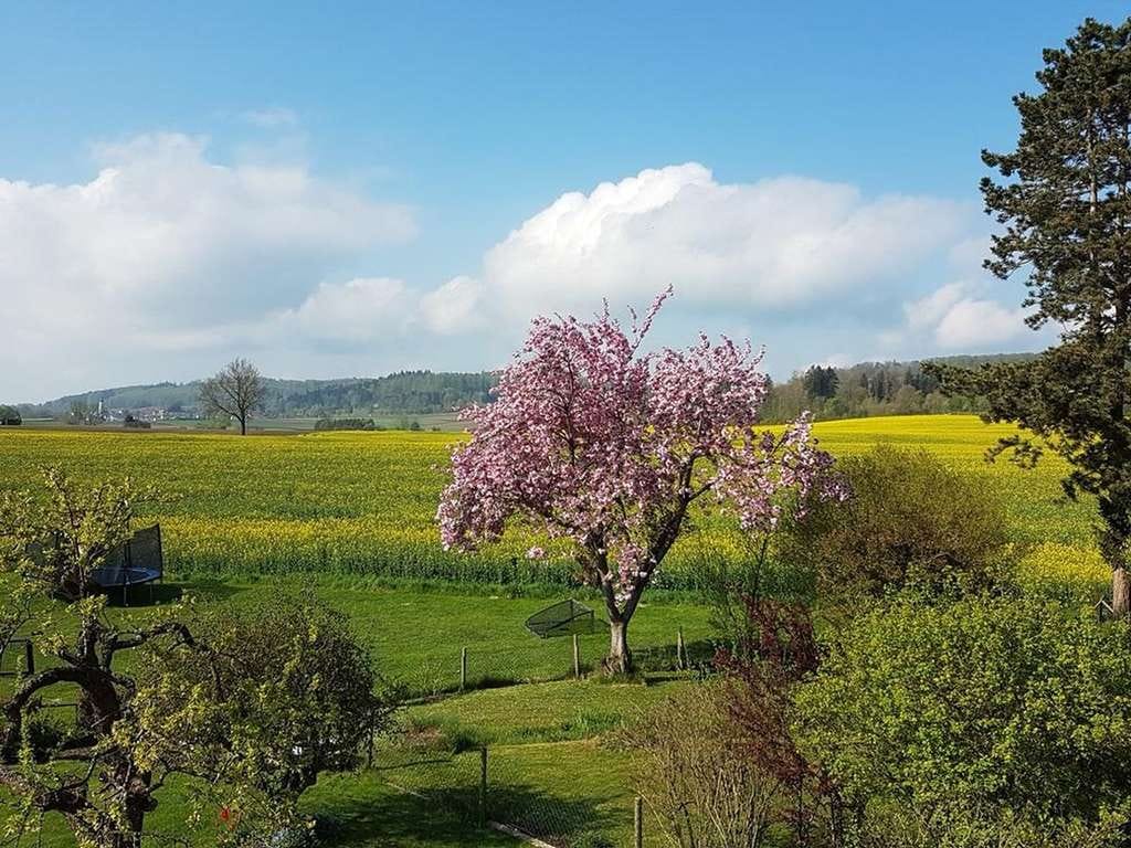 Immobilie in Bad Schussenried - 200 qm Haus mit Garten | Top-Randlage | Bad Schussenried - Ruhe, Natur, Weitblick | prov.frei - Bild 1