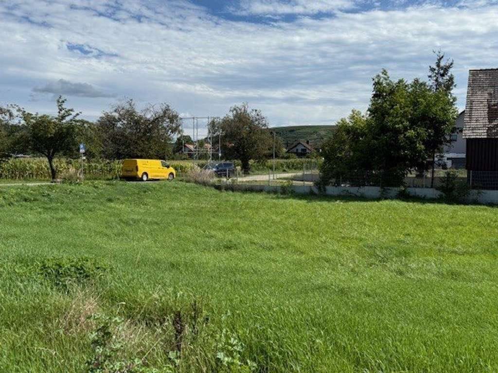 Immobilie in Sasbach am Kaiserstuhl - Projektierte, familienfreundliche DHH mit Dachterrasse - Bild 2