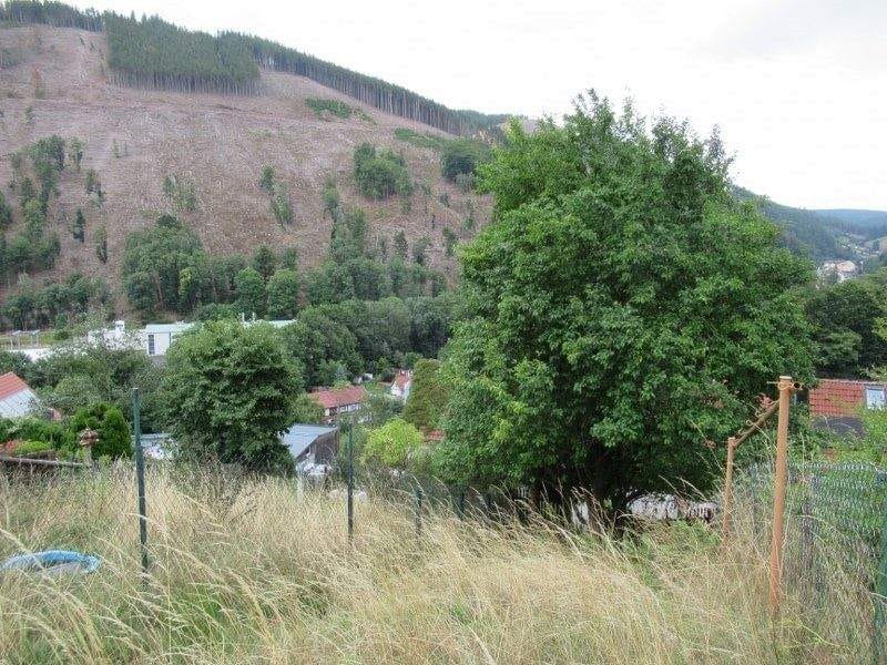 Immobilie in Luisenthal - Günstiges Einfamilienhaus mit Potential - Bild 4