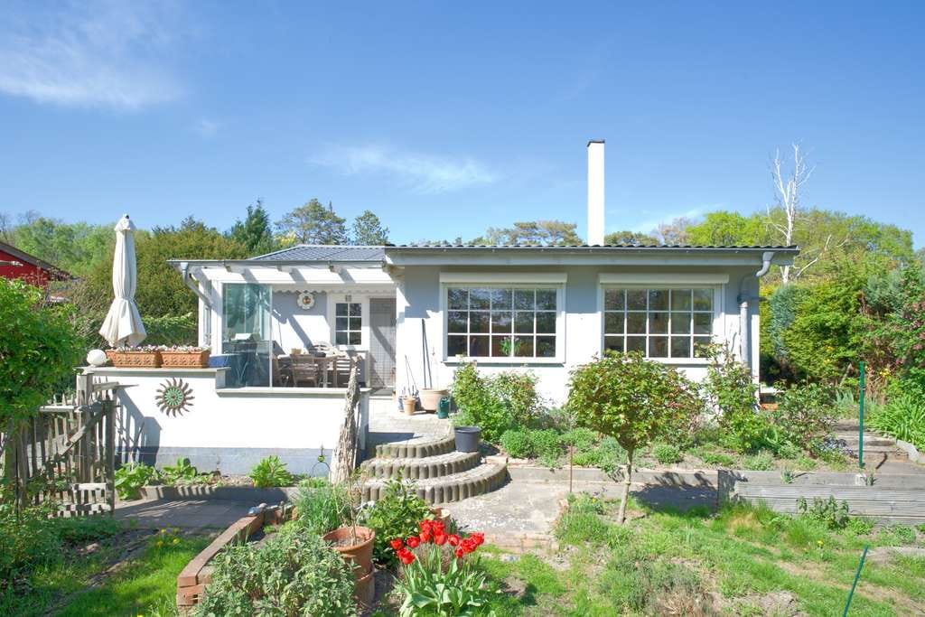 Immobilie in Ahrenshoop - Ferienhaus - 350m zum Strand - Bild 0