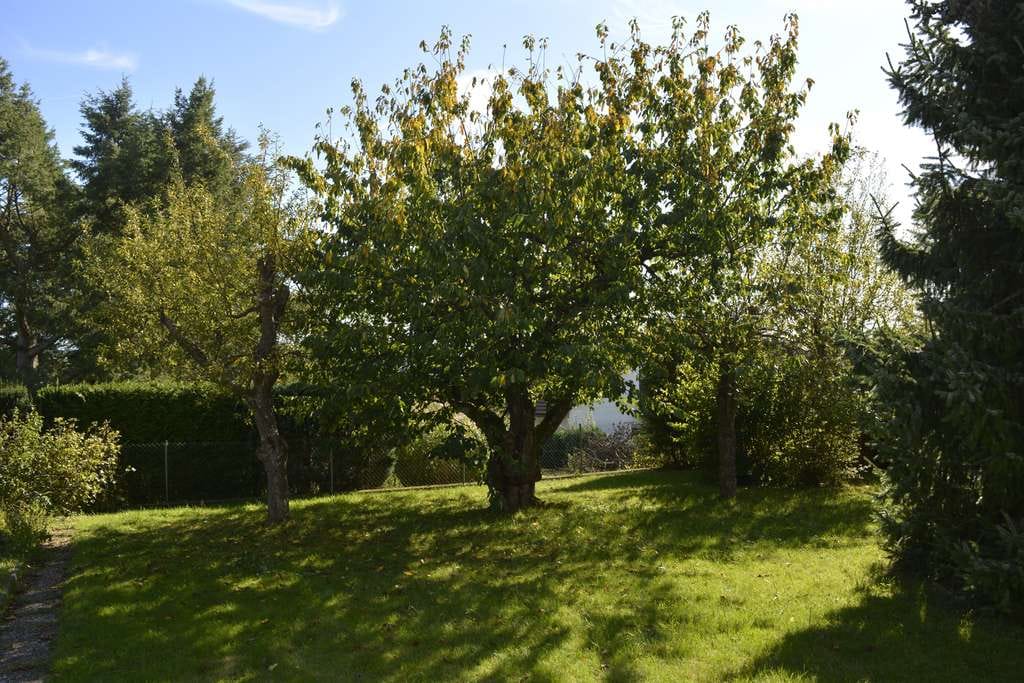 Immobilie in Staufenberg - Mehrfamilienhaus in Mainzlar mit Weitblick und idyllischem Garten - provisionsfrei - Bild 2