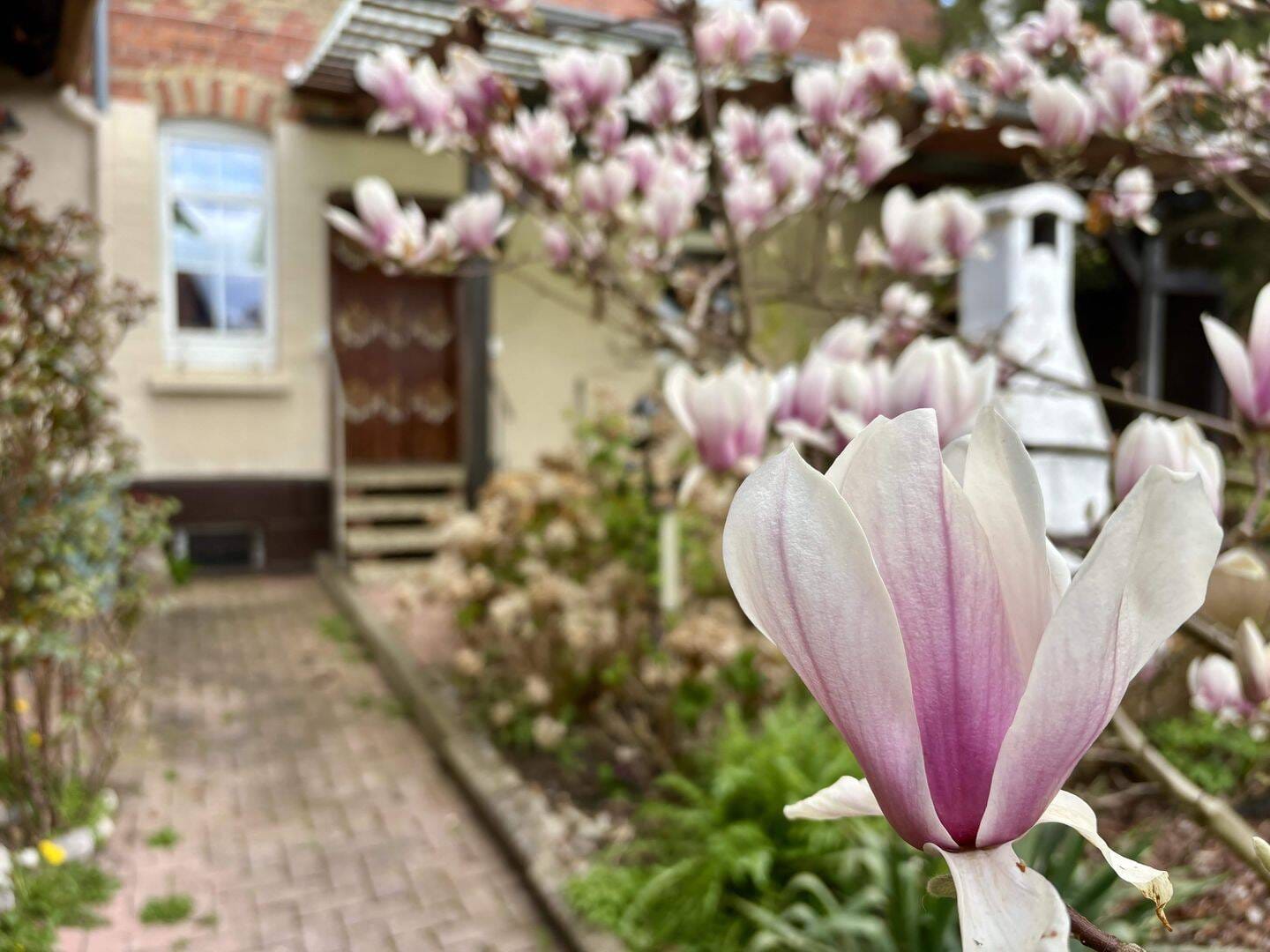 Immobilie in Bockenem - Mehrgenerationshaus in Bornum. Ihr neues Zuhause für die ganze Familie. - Bild 1